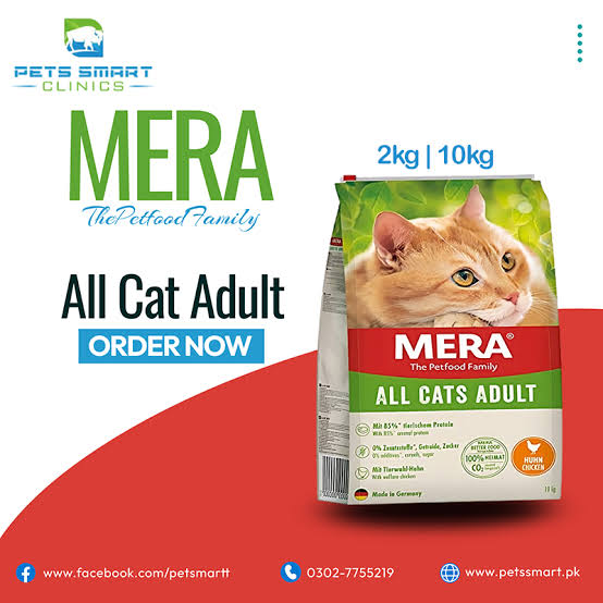 Grain Free Cat Food in 2026 What the Science Now Says