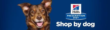 hills zd dog food