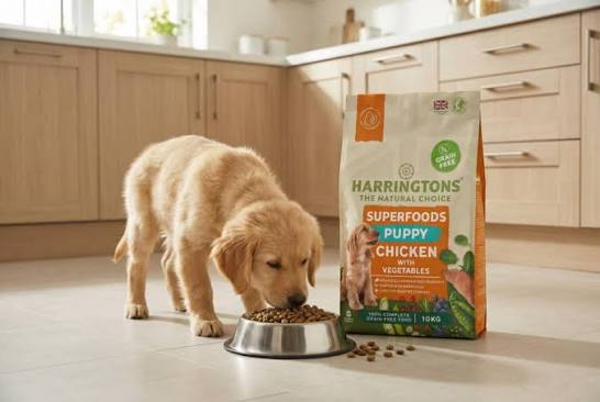 grain free puppy food